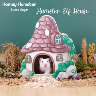 Homey Hamster บ้านหลบแฮมสเตอร์ Sweet Sugar ของแต่งกรงหนูแฮมสเตอร์ กล่องขุด จักรแฮมสเตอร์ รองกรง millamore niteangel เม่น