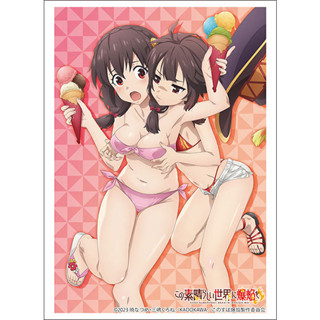 [พรีออเดอร์] Bushiroad Sleeve HG Vol.3869 Kono Subarashii Sekai ni Bakuen wo! [Yunyun &amp; Megumin]