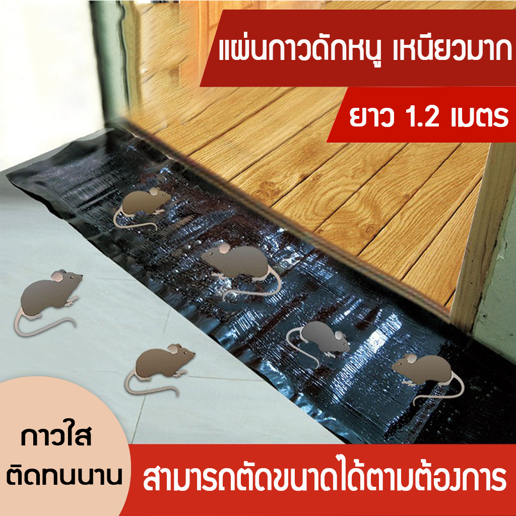 ส่งเร็วมาก กาวดักหนูแผ่นใหญ่ กาวดักหนู แผ่นกาวดักหนูสำเร็จรูป ขนาด120*28CM แผ่นกาวดักหนู กาวดักหนู กาวดักหนูในบ้าน