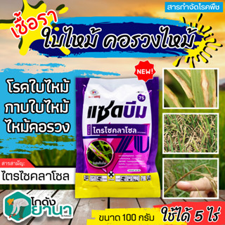 🌾 แซดบีม75 (ไตรไซคลาโซล) ขนาด 100กรัม ป้องกันเชื้อราโรคไหม้ในข้าว