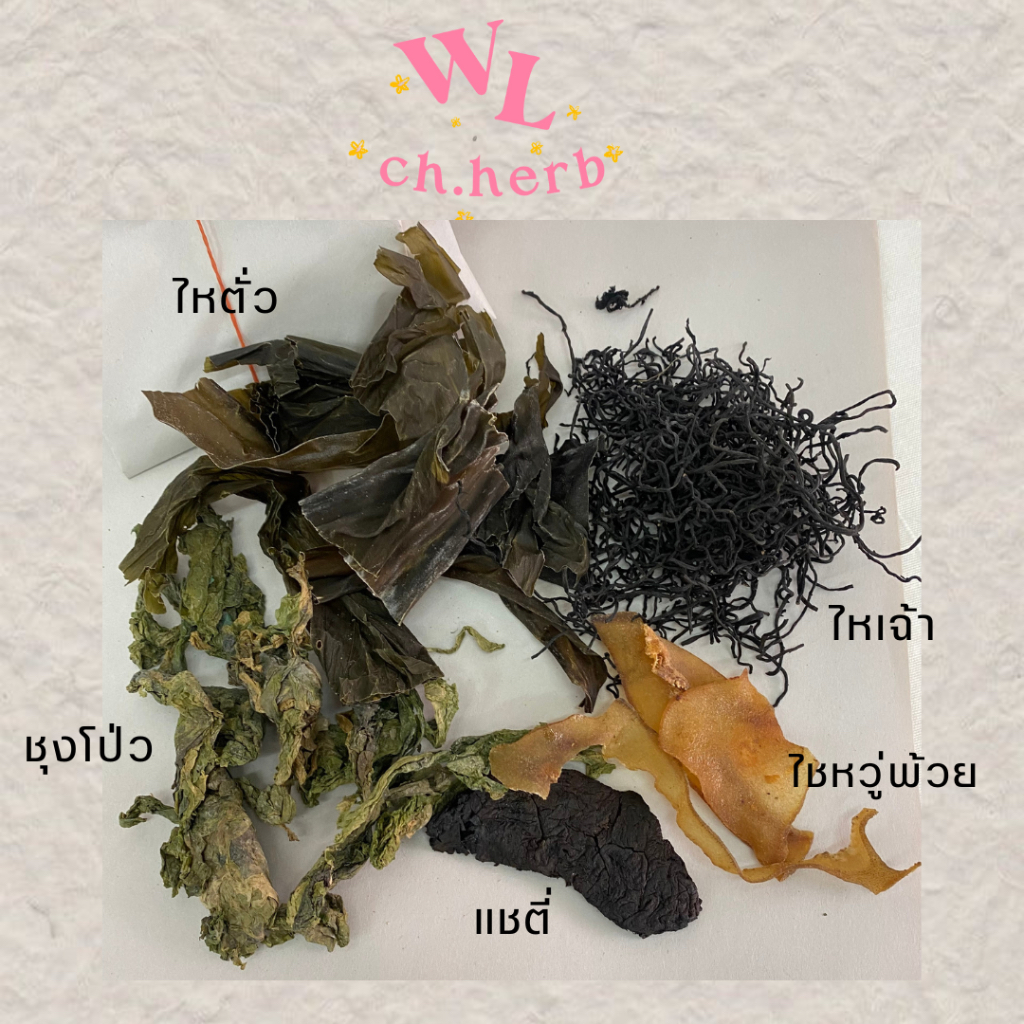น้ำแกงสาหร่ายกวางตุ้ง ชุดหอยตายหอยโฉว ซุปสาหร่ายจีนกวางตุ้ง ราคา ถูกที่สุด ดีลบีเคเค แกลเลอรีภาพที่ 2