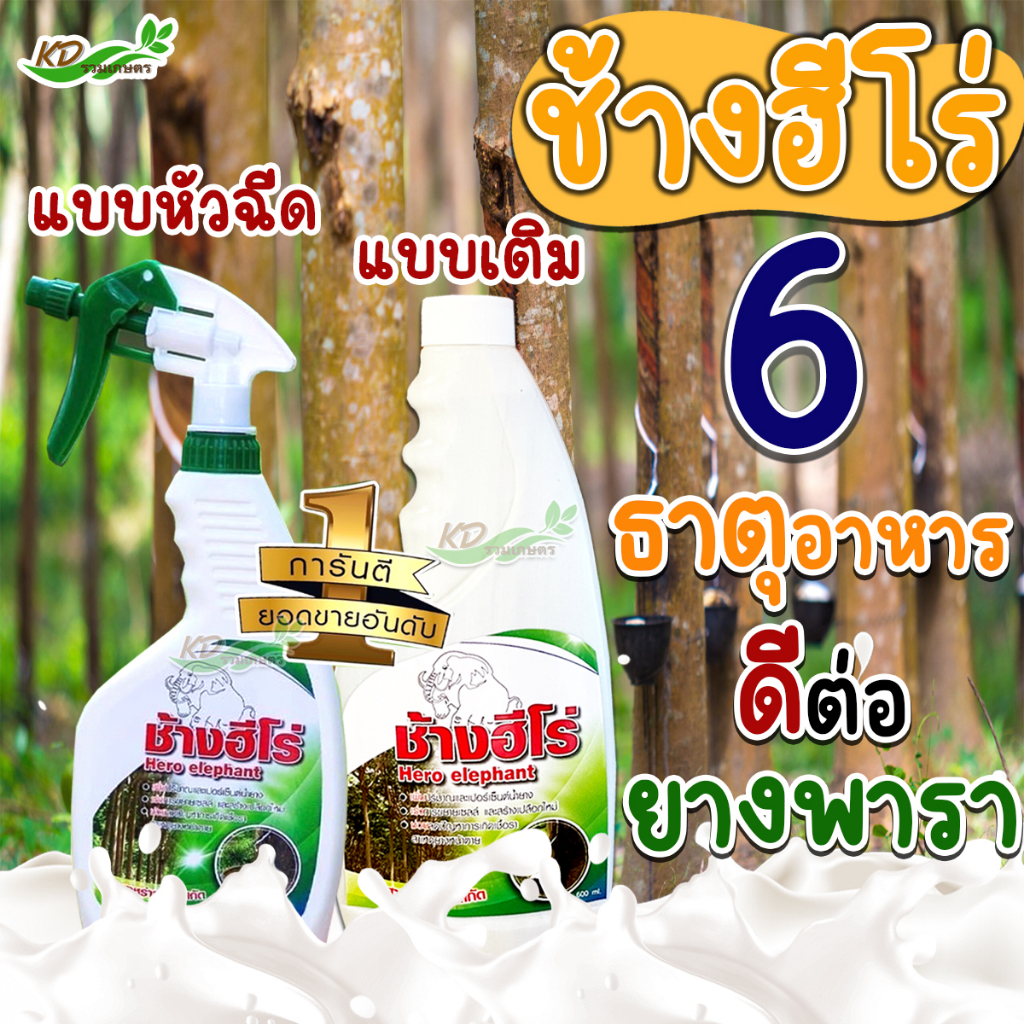 🦣 ช้างฮีโร่ 🦣 บำรุงหน้ายาง ไม่มียาเร่ง น้ำยางข้น นิ่ม ยางออกดีขึ้น ปลอดภัยต่อต้นยาง ขนาด 600 ml ชนิดสเปรย์ฉีดใช้ง่ายมาก