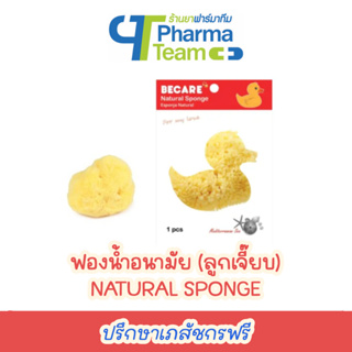 (1 ชิ้น) ลูกเจี๊ยบ ฟองน้ำอนามัย NATURAL SPONGE ตรา BECARE