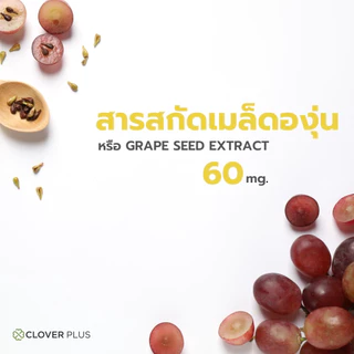 [ 1 แถม 1 ] Clover Plus Lutein Plus ลูทีน พลัส สารสกัด ลูทีน จาก ดอกดาวเรือง สำหรับ สุขภาพ ดวงตา วิตามินเอ (30 แคปซูล)