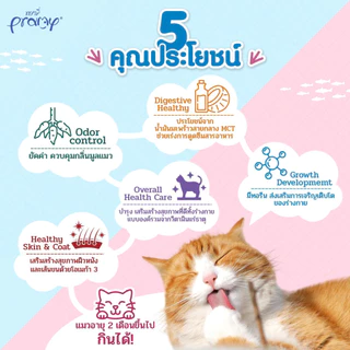 PRAMY พรามี่ (ยกลัง 4 โหล 48 ซอง) อาหารเปียกแมว