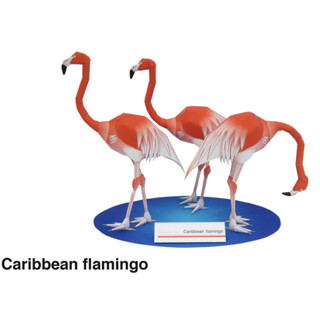 โมเดลกระดาษ 3D : Caribbean Flamingo นกฟลามิงโก้แคริเบียน กระดาษโฟโต้เนื้อด้าน  กันละอองน้ำ ขนาด A4 220g.