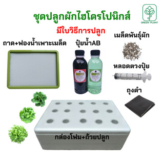ชุดปลูกผักไฮโดรโปนิกส์ ครบพร้อมปลูก ชุดปลูกผัก 6,8,15 ช่อง ชุดปลูกผักสลัด กล่องโฟมปลูกผักไฮโดรโปนิกส์