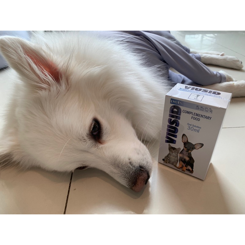 พร้อมส่ง ทันที วิตามิน อาหารเสริม แมว หมา Viusid Pets (ไวอูซิด เพ็ท) เสริมภูมิ ปกป้องฟื้นฟู ตับ ไต