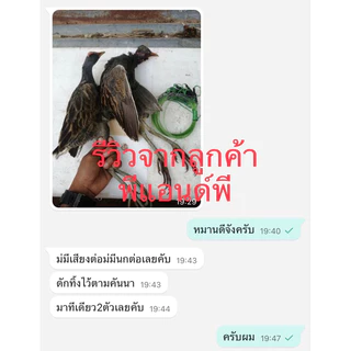 ครืนดักนกกวัก 21บ่วง (สีดำ) แถมกระดิ่ง บ่วงแขวนดักนกกวัก ที่ดักนกไก่นา บ่วงหมุนได้ บ่วงกว้างประมาณ4นิ้ว