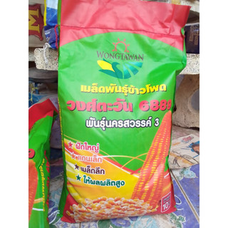 แบ่งขาย ข้าวโพดเลี้ยงสัตว์ลูกผสมพันธุ์นครสวรรค์ 3 ขนาด(3กิโลกรัม)/  ปลูกได้ 1ไร่ ผลผลิตสูง