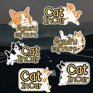 สติ๊กเกอร์ Cat in Car ในรถมีแมว คอลเลคชั่นใหม่ล่าสุด July 2023 !!