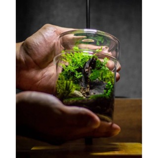 Terrarium สวนขวดแก้ว(Forest​ in​ the​ glass)