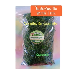 ใบปอสดต้มเกลือ (1 กก.) ปออ่อน ปอสดจากสวน ยังไม่ผัด