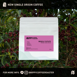 Nippy Coffee Roaster เมล็ดกาแฟคั่ว Ethiopia Sidama Bensa Bekele Yutute