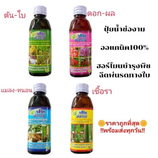 หัวเชื้อปุ๋ยน้ำ ช่องาม150มล. บำรุงต้น-ใบ ดอก-ผล กำจัดแมลง-หนอน กำจัดเชื้อราโรคพืช