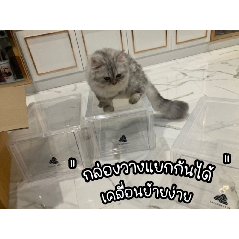กล่องรองเท้า Edition Set 12 กล่อง/กล่องใส่รองเท้าฝาสไลด์ (จำกัด 2Setต่อ1ออเดอร์) (4) ราคา ถูกที่สุด ดีลบีเคเค แกลเลอรีภาพที่ 6