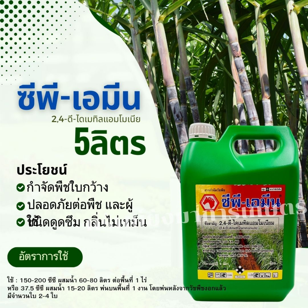 ซีพีเอมีน 2 4 - ดี - ไดเมทิลแอมโมเนียม ขนาด 5ลิตร ตราหัวม้า กำจัดวัชพืชใบกว้างและประเภทกก ปลอดภัยไม่เหม็น ทูโฟดี