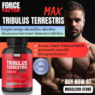 💊Force Factor Fundamentals, Tribulus Terrestris Max, 500 mg(120 Caps) ไทรบูลัสแคปซูล เพิ่มฮอร์โมน ซัพพอร์ตการฝึกซ้อม