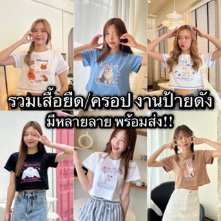 รวมเสื้อยืด/ครอป งานป้ายดังลายหมาแมว แฟชั่นน่ารักๆพร้อมส่ง!!