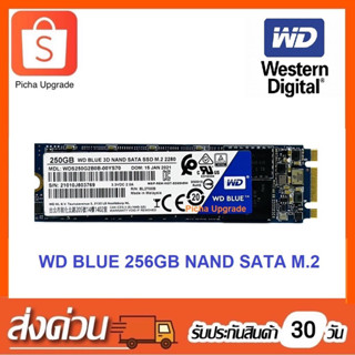 250GB WD Blue 3D NAND SATA SSD M.2 ขนาด2280 มือสองปี2019-2021