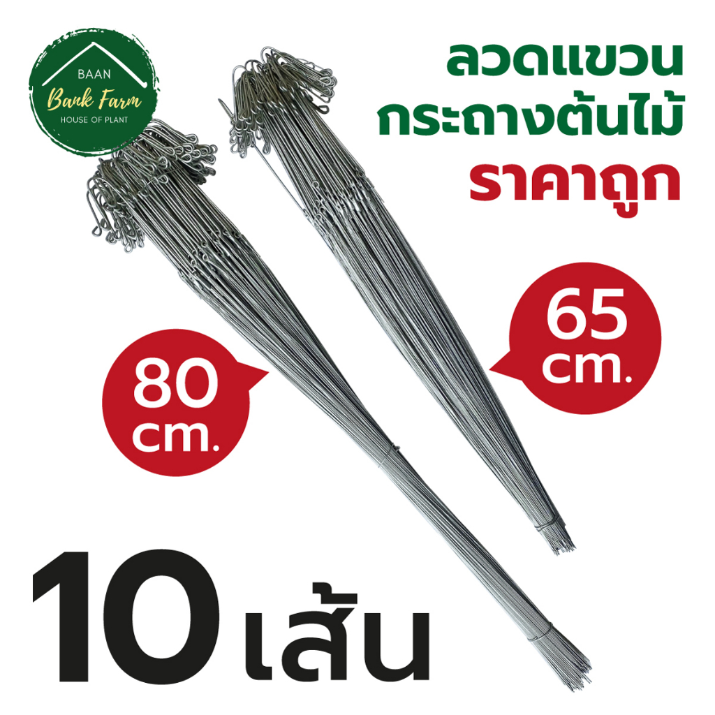 🔥โปรพิเศษ! ลวดแขวนกระถาง 65cm. & 80cm. (10เส้น) ลวดแขวน 3 ขา แขวนกระถางต้นไม้ กล้วยไม้ ไม้ประดับ บ้านแบงค์ฟาร์ม
