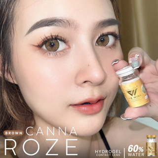 เลนส์ฝาทอง canna roze สีน้ำตาลและสีเทา ขนาดกลาง 14.5