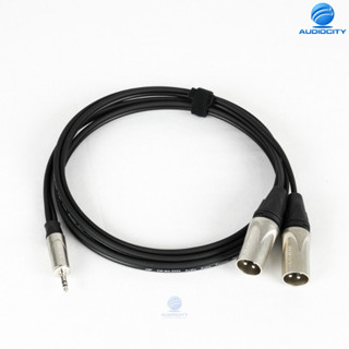 DIVAAUDIO DAMP2XM-2M สายสัญญาณ ขั้วต่อแจ๊ค 3.5 มม. เป็นแจ็ค XLR ตัวผู้ ยาว 2 เมตร