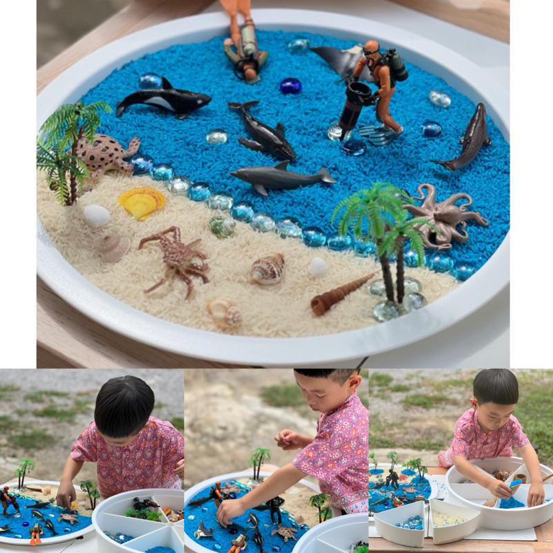 Under the sea Sensory play โมเดลสัตว์ทะเล โมเดลนักดำน้ำ เปลือกหอยDIY (พร้อมส่ง )