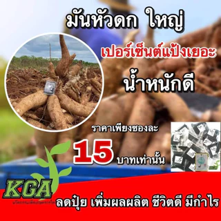 ผงดำ KGA นวัตกรรมเกษตรกรไทย ซองละ15