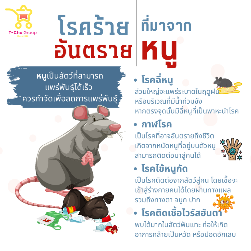 (1 แถม 2) ได้ 3 กระปุก The Rat เหยื่อกำจัดหนูสำเร็จรูป สูตรตายแห้ง หนูตายไม่ส่งกลิ่นเหม็นเน่า ราคา ถูกที่สุด ดีลบีเคเค แกลเลอรีภาพที่ 5