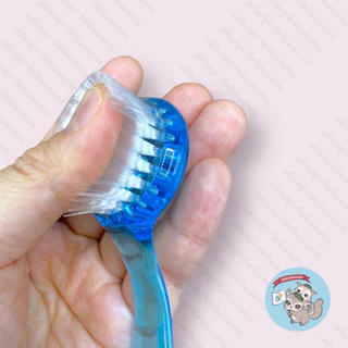 V ( แปรงขนนุ่ม ) BRUSH แปรงนุ่มหวีขน แปรงหวีขน แปรงนุ่ม ชูการ์ กระรอก แฮมสเตอร์ แปรงเม่น แปรงเม่นแคระ แปรงอาบน้ำเม่นแคระ