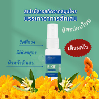 B-Kit สเปรย์ริดสีดวง ฝีคัณฑสูตร ผิวหนังอักเสบ  ผื่นคัน สูตรอ่อนโยน สตรีมีครรภ์ เด็กใช้ได้ ขนาด20ml.