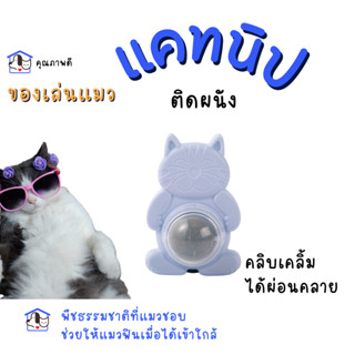 แคทนิปติดผนัง ของเล่นแมว คละสี