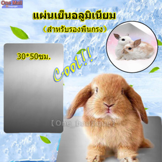 【One_boutique】แผ่นเย็นอลูมิเนียม1แผ่น สำหรับรองพื้นกรง ใช้ได้ด้ดีในอากาศร้อน สำหรับกระต่าย ชินชิล่า แกสบี้ สุนัข และแมว