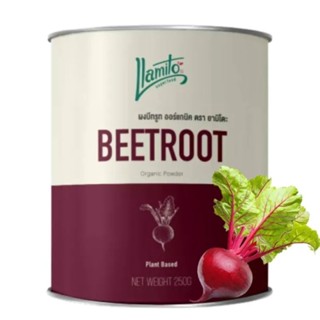 ผงบีทรูท ออร์แกนิค (Organic Beetroot Powder) ขนาด 250g บีทรูทผง บีทรูท