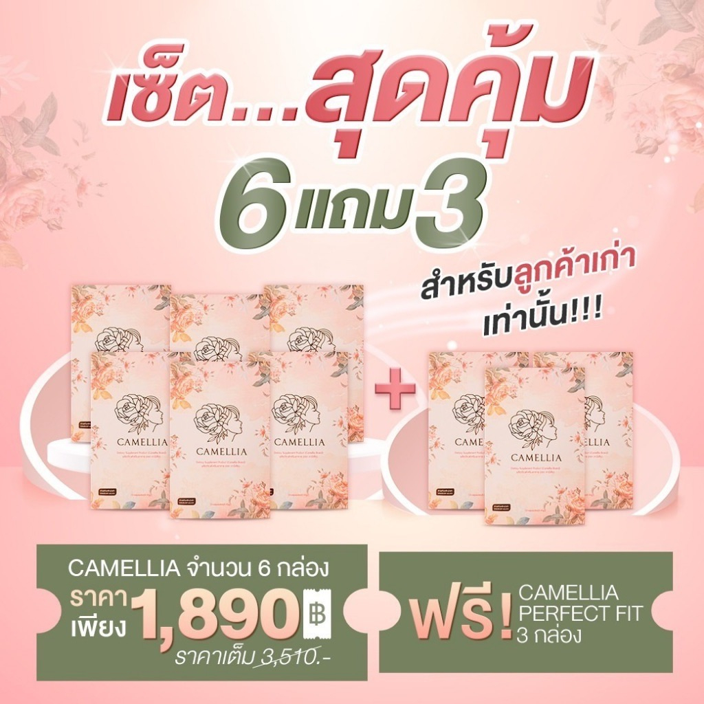 ส่งเร็ว!!! ของแท้ เซ็ทสุดพิเศษ ซื้อ 6 แถม 3 อาหารเสริม คามิเลีย Camellia ดูเเลจบครบทุกปัญหาของผู้หญิ