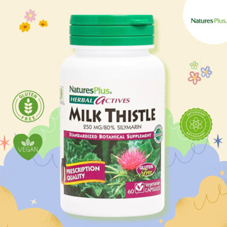 NaturesPlus Milk Thistle Extract 250mg – 60 Capsules 💕มิลค์ ทิสเซิล คุณภาพสูง บำรุงตับ ต่อต้านอนุมูลอิสระ💕