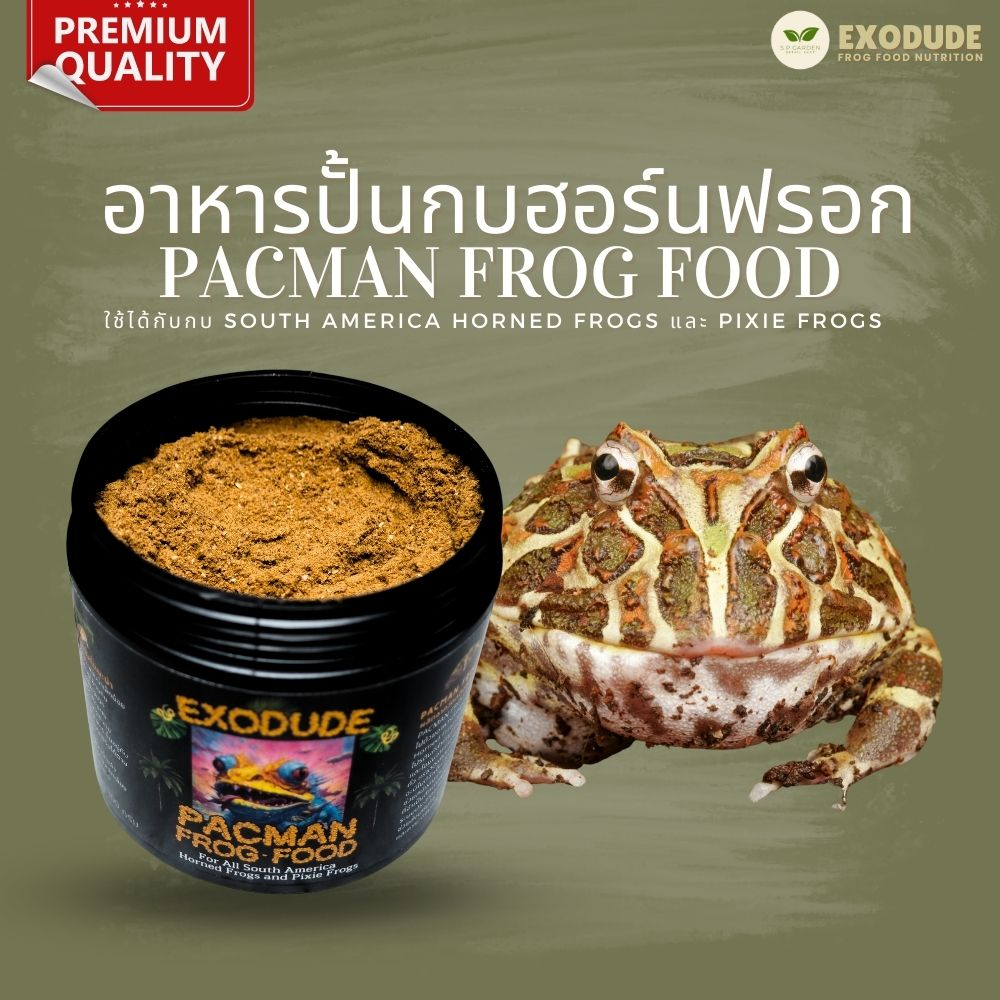 🔥อาหารปั้นสำหรับกบฮอร์นฟรอก 300g 💥Exodude อาหารกบ คุณค่าทางอาหารสูง มีโปรไบโอติก Horned Frog Pacman 