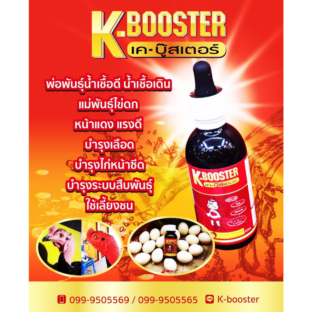 K Booster เคบู้สเตอร์ ชุดเลี้ยงยอดนิยม เค บูทเตอร์ เค-บู๊สเตอร์ K-BOOSTER KBooster