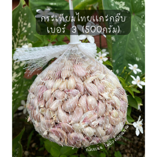 กระเทียมแกะกลีบกลางเบอร์ 3 ***#กระเทียมไทย#⭐☑️คุณภาพดี☑️ไม่ฝ…