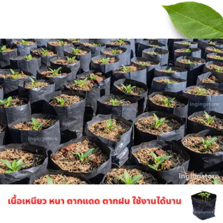 🔥ราคาส่ง🔥 ถุงเพาะชำ ถุงเพาะต้นไม้ เจาะรู หนา เหนียว คุ้มค่า