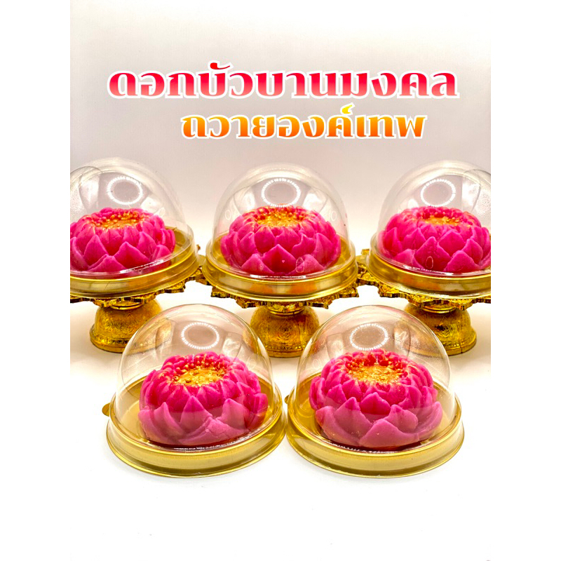 ทำใหม่ทุกออเดอร์ ขนมดอกบัวถวายพระแม่ลักษมี อาลัวดอกบัวสวรรค์ ราคา ถูกที่สุด ดีลบีเคเค