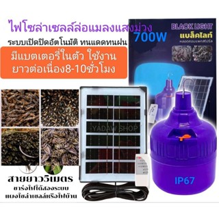 ไฟโซล่าเซลล์ล่อแมลงล่อแมงดา ไฟสีม่วง พลังงานแสงอาทิตย์หลอดLED700W เปิดปิดอัตโนมัติ