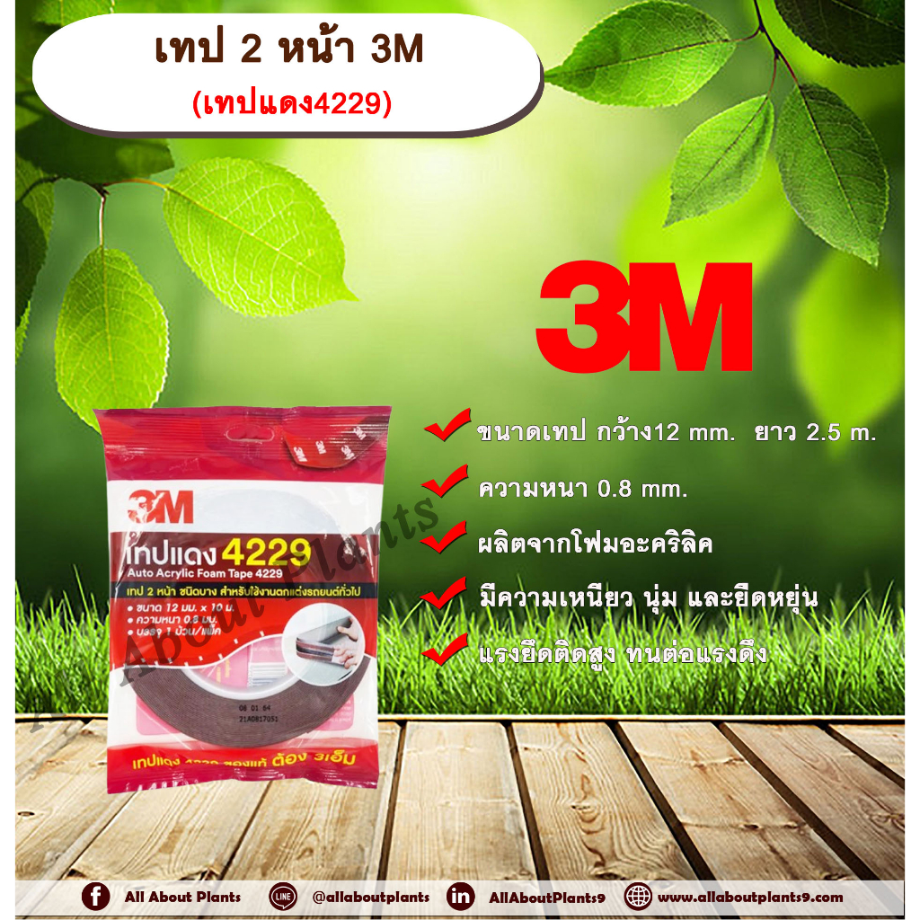 3M เทปแดง 4229 กาว 2 หน้า ชนิดบาง โฟมอะคริลิค หน้ากว้าง 12 มม. ยาว 2.5 เมตร ความหนา 0.8 มม. กาว 2 หน