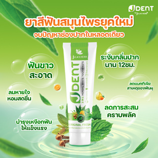 JDENT [ฟันขาว ลมหายใจสดชื่น]Julas Herb จุฬาเฮิร์บ เจเด้นท์ 3 อิน 1 เฮอร์เบิลไวท์ ทูธเพสท์ สูตรออริจินัลเฟรช