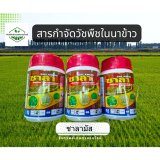 สารกำจัดวัชพืชในนาข้าว
