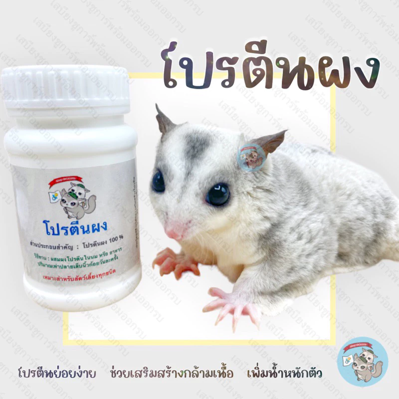 ( โปรตีนผง ) PROTEIN POWDER อาหารเสริม ชูการ์ กระรอก แฮมสเตอร์ ดอร์เมาส์ นมแพะ แคลเซียม วิตามินรวม