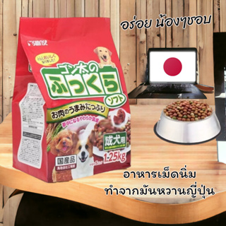 SUNRISE - ซันไร1.25kg อาหารเม็ดนิ่มเกรดโฮลิสติก นำเข้าจากประ…