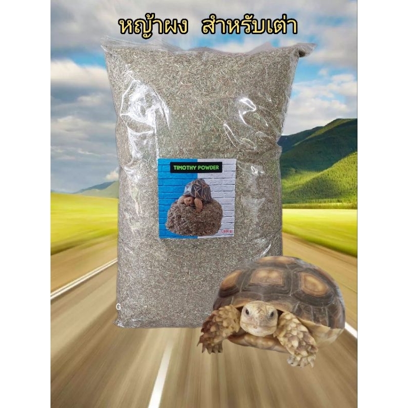 หญ้าทิมโมธี ชนิดผง สำหรับเต่าบกขนาดเล็ก ราคา ถูกที่สุด ดีลบีเคเค รูปภาพหลัก