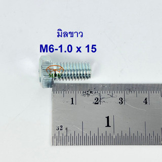 สกรูมิลขาวเกลียวตลอด ปะแจเบอร์10 ขนาด M6-1.0 x 15 (บรรจุ 100 ตัว)